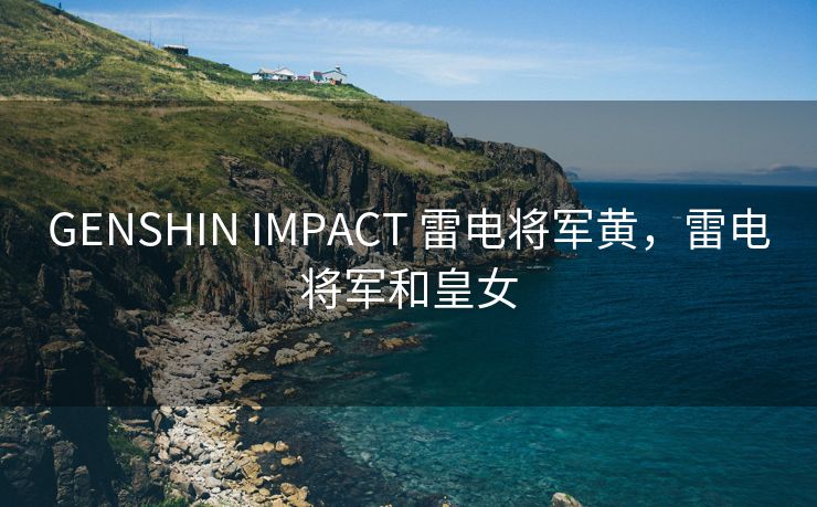 GENSHIN IMPACT 雷电将军黄，雷电将军和皇女