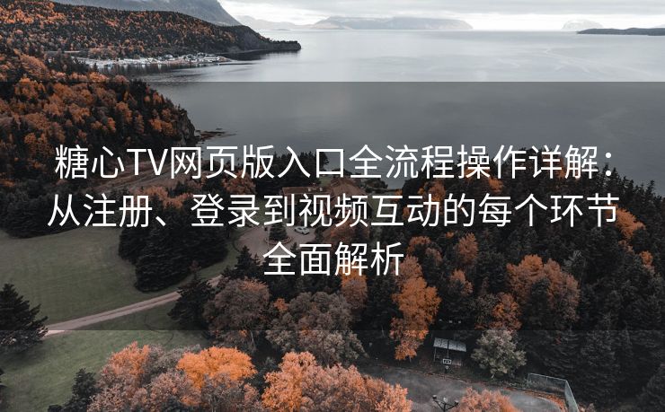 糖心TV网页版入口全流程操作详解:从注册、登录到视频互动的每个环节全面解析 糖心TV网页版入口全流程操作详解:从注册、登录到视频互动的每个环节全面解析